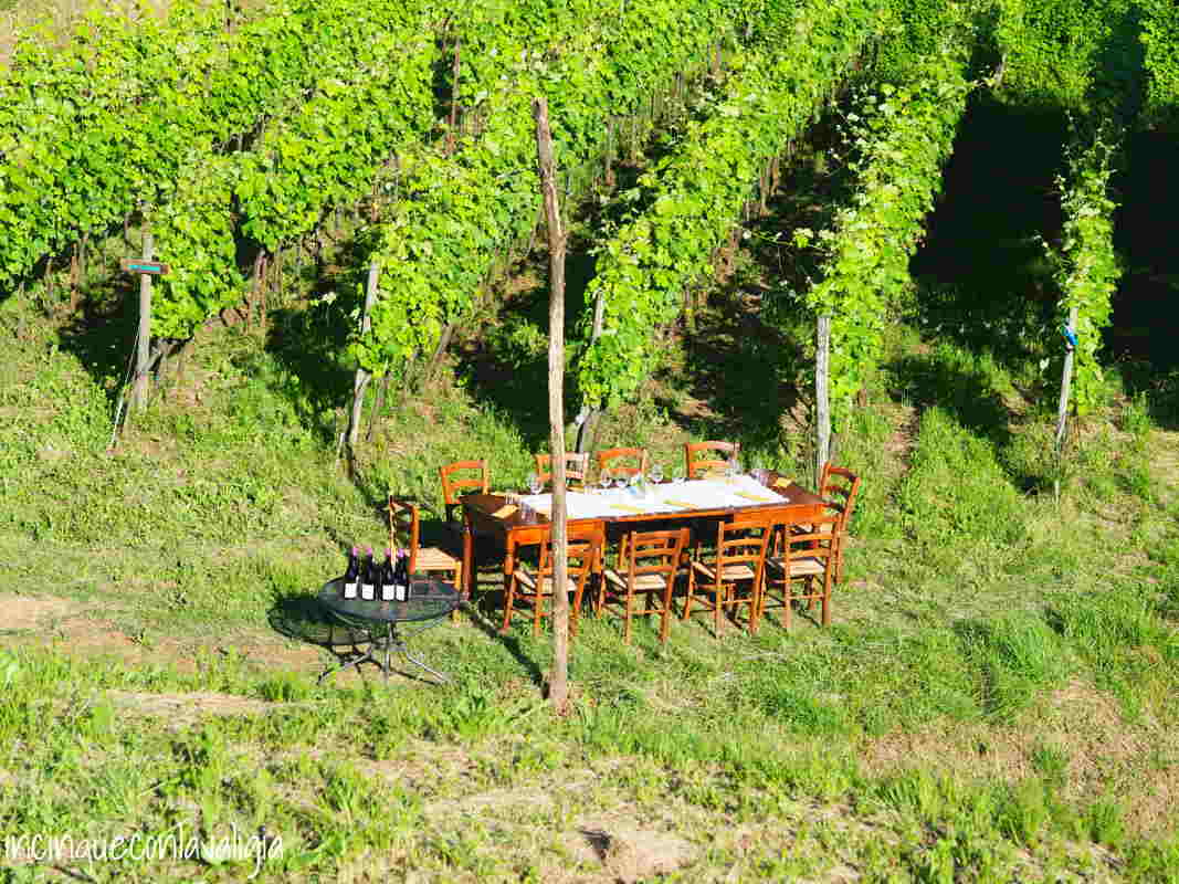 Tavoli tra i vigneti