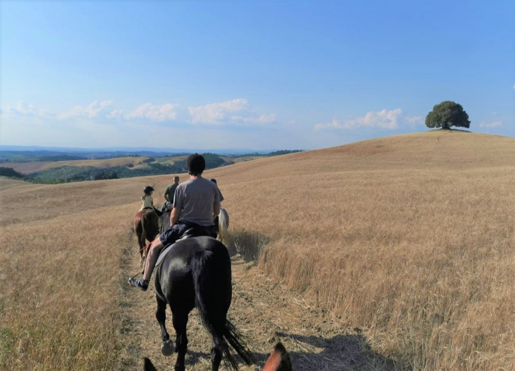 Toscana a cavallo