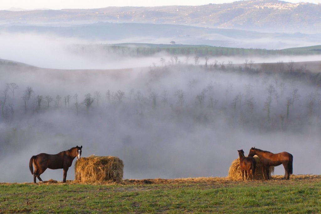 Toscana a cavallo