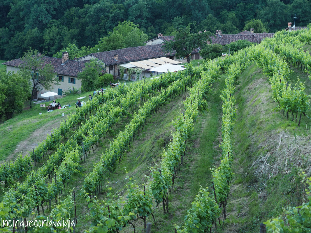 Veduta dall'alto dei vigneti e di Galbusera Nera Vigneti Parco del Curone