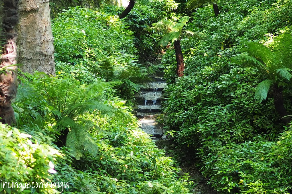 Felci Villa Carlotta