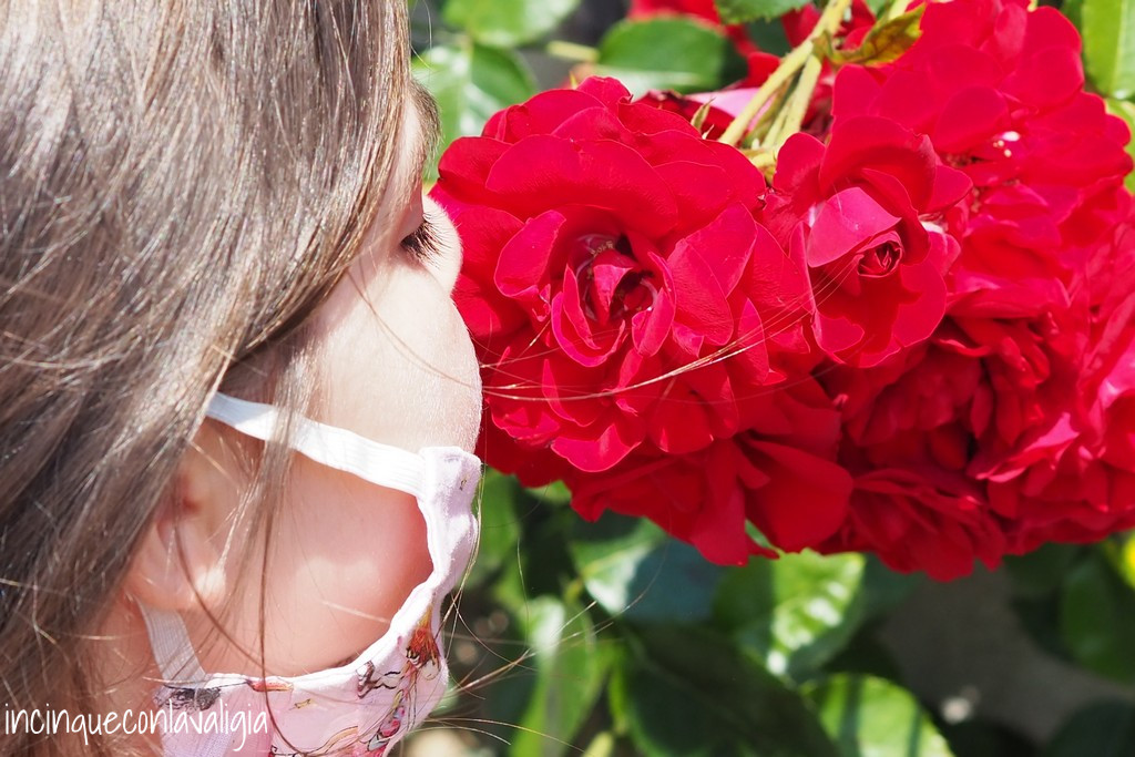 Annusare i fiori Fioritura delle rose Villa Carlotta
