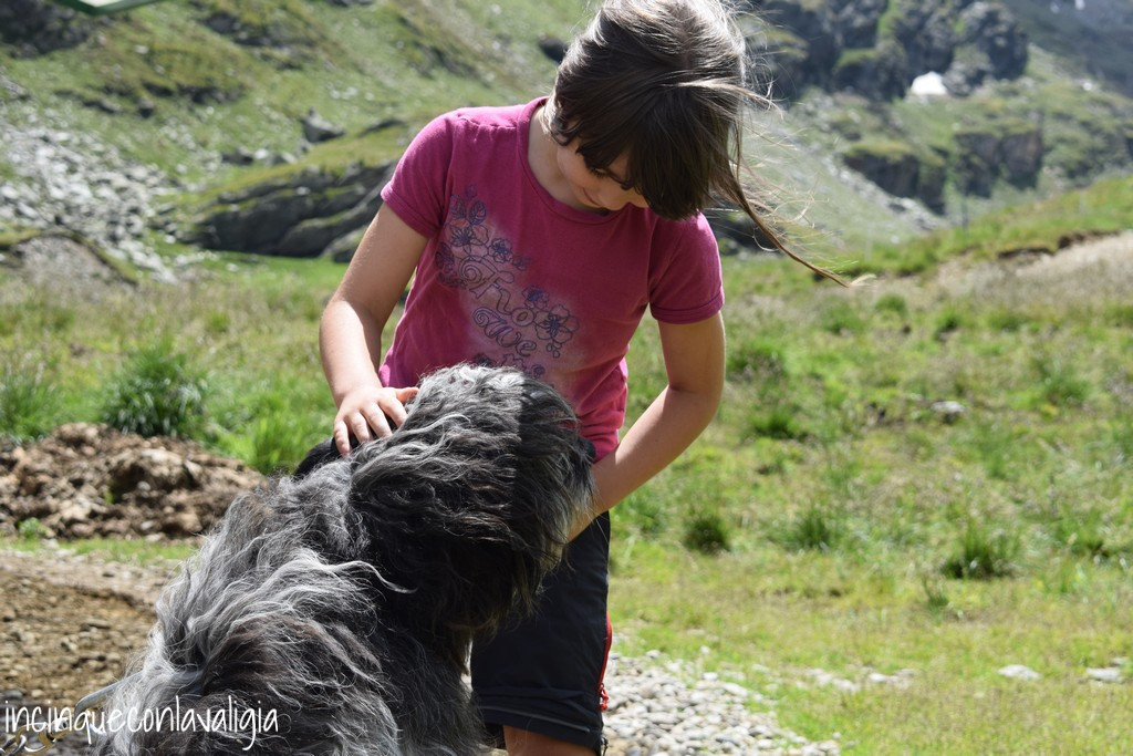 Malga dell'Alpe con bambini