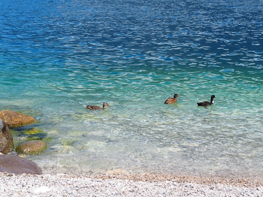 Limone sul Garda Spiaggia a Limone sul Garda