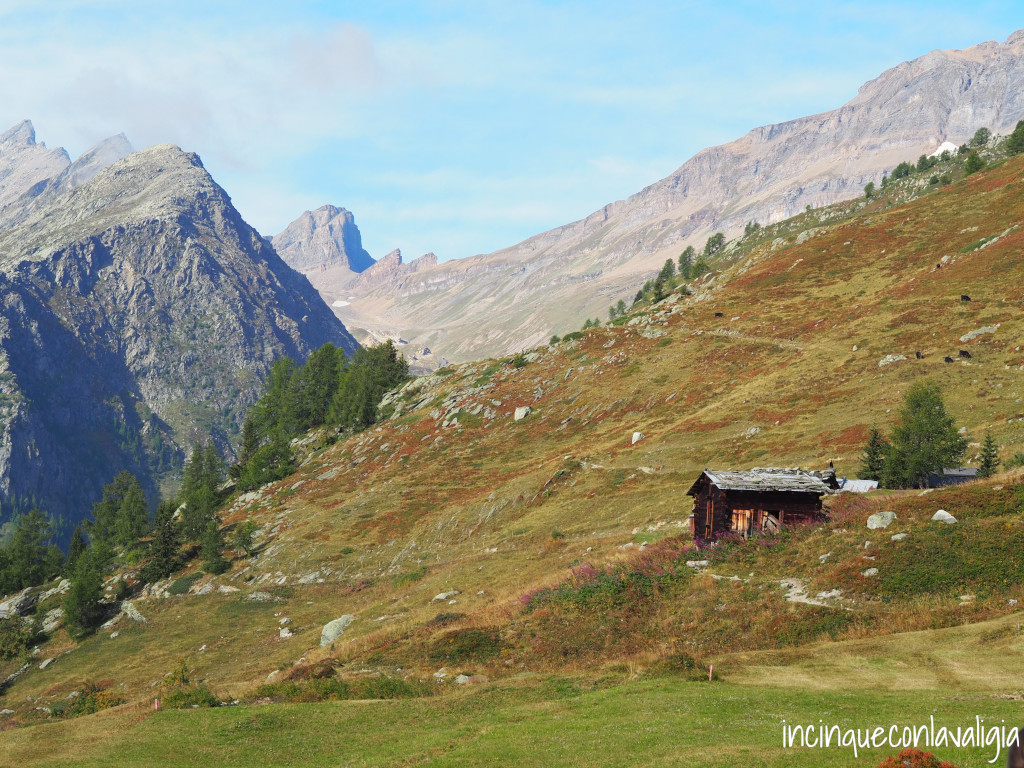 Montagne Lauchernalp