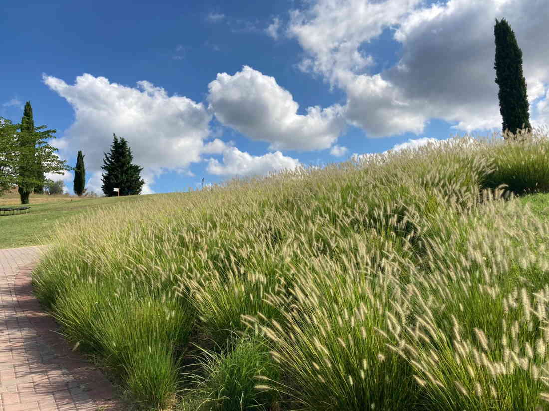 Paesaggio Villaggio salute più
