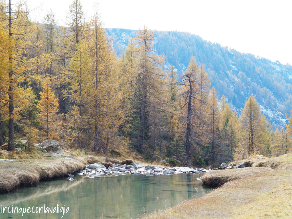Fiume Duino PRedarossa