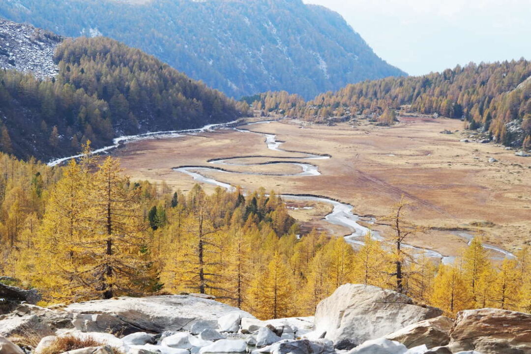 Predarossa in autunno