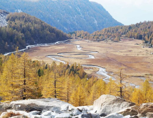 Predarossa in autunno