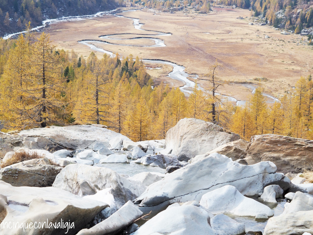 Predarossa in autunno