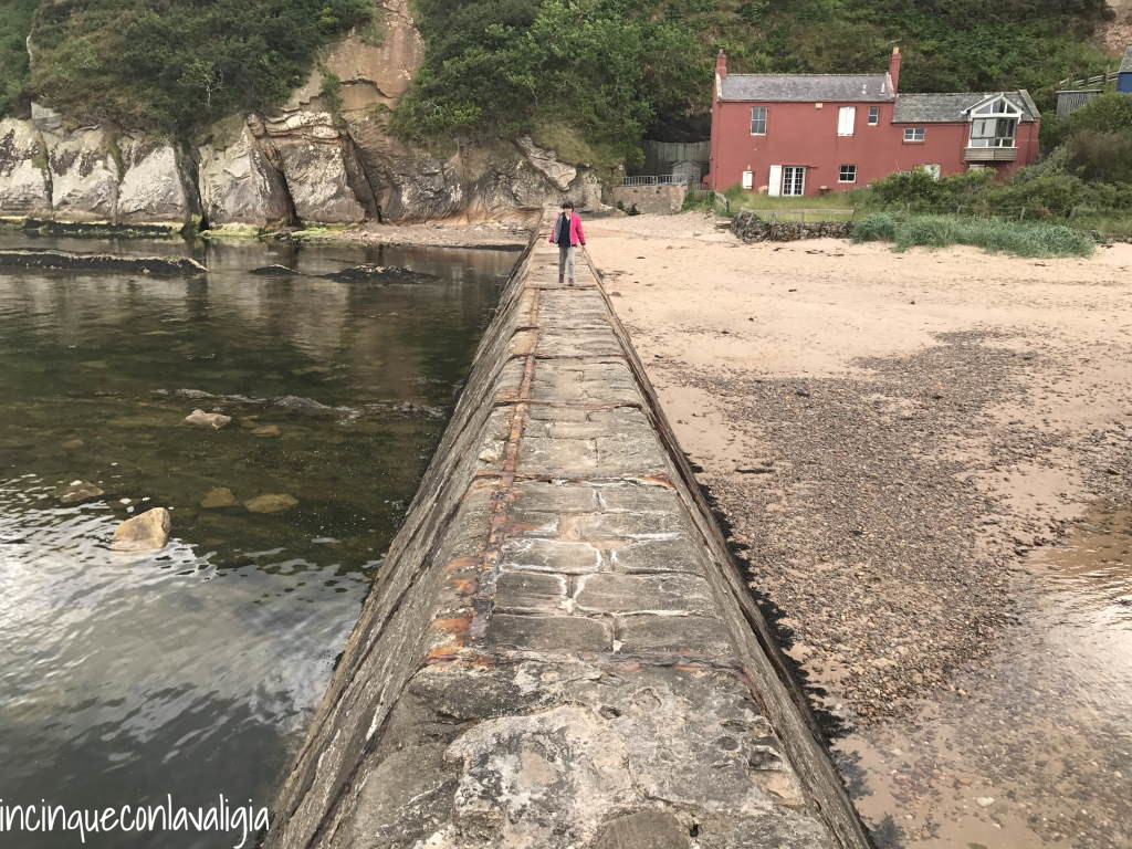 Il molo di Cove Harbour Il molo di Cove Harbour