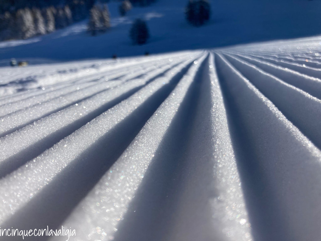Inverno al Pian delle Betulle