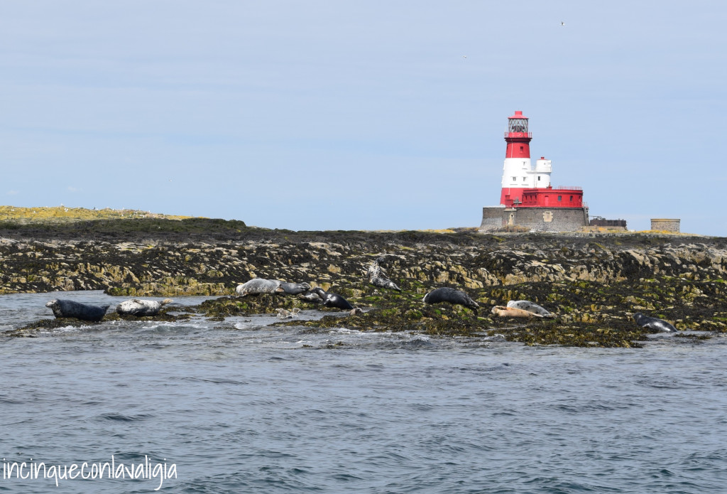 Il faro di Longston Island dove viveva Grace Darling Il faro di Longstone Island in Northumberland