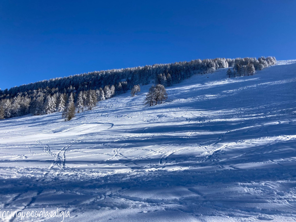 Pian delle betulle in inverno