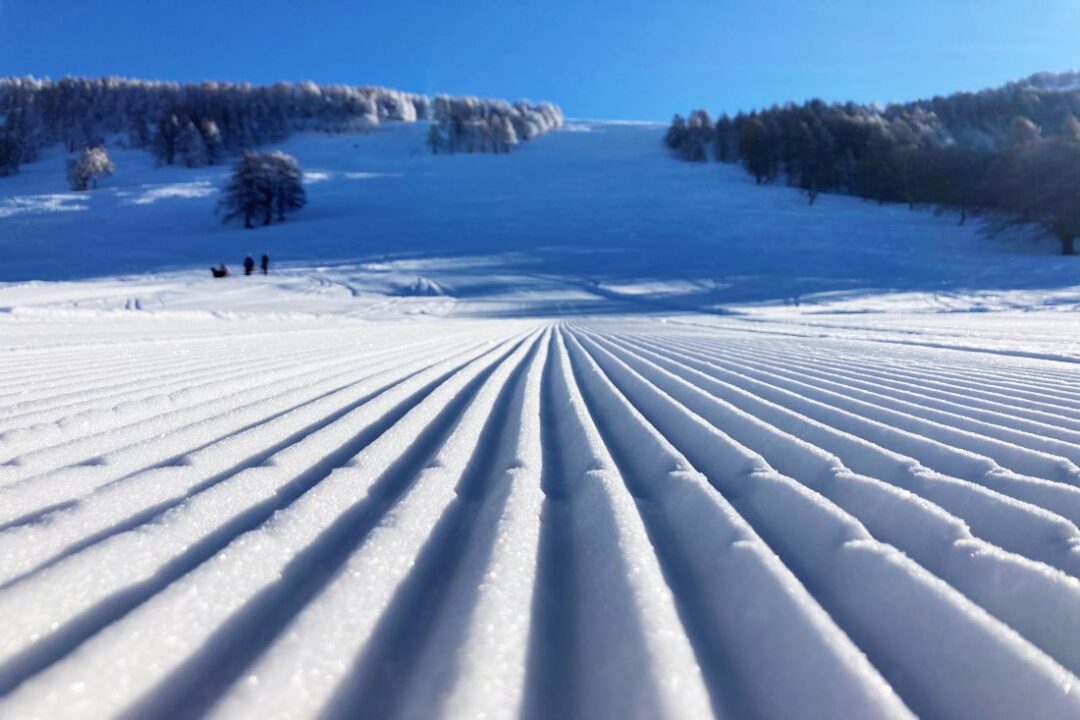 Pian delle betulle in inverno