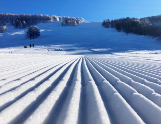 Pian delle betulle in inverno