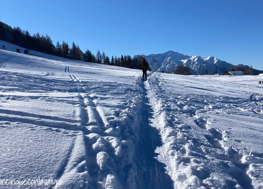 Pian delle Betulle in inverno