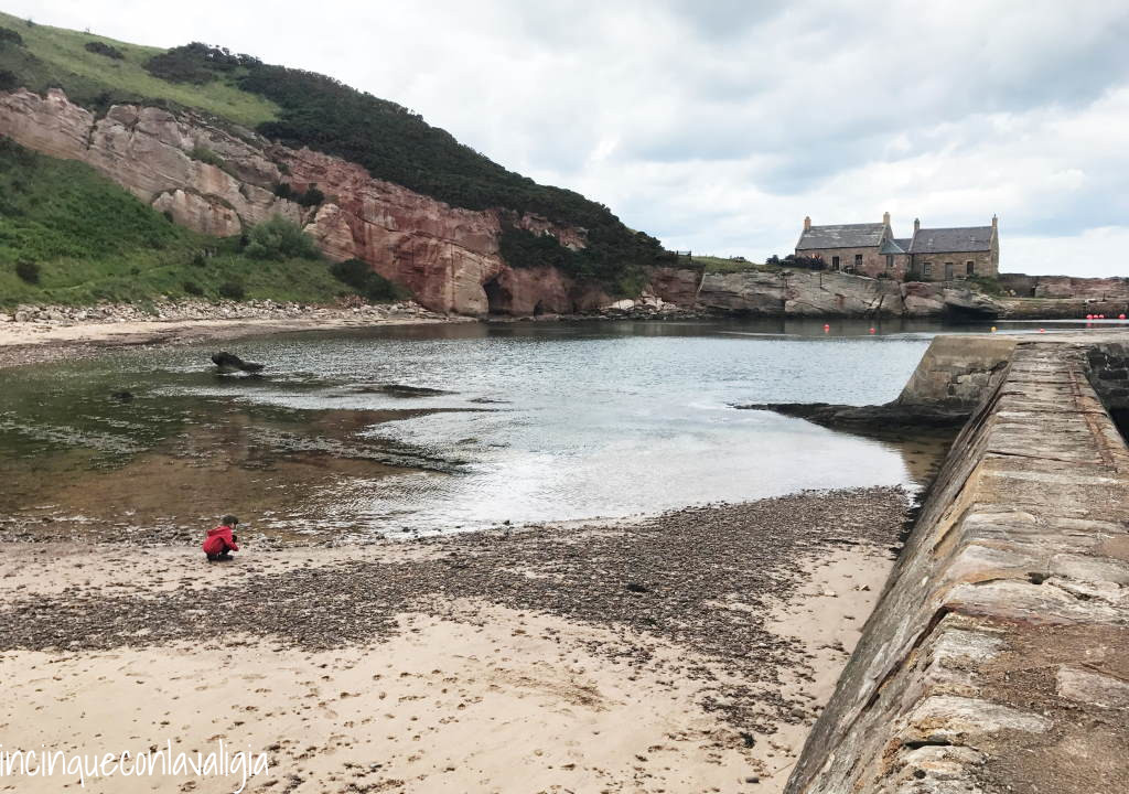 Giocare sulla spiaggia di Cove Harbour Cove Harbour giocare sulla spiaggia