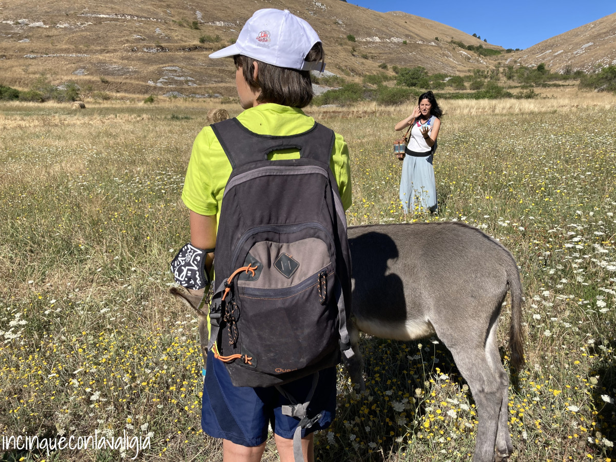 Trekking someggiato con bambini Trekking someggiato con bambini