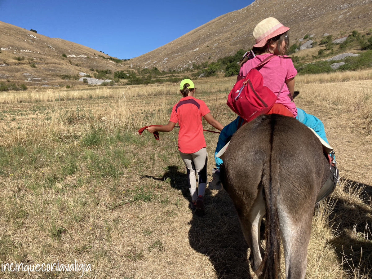 Trekking con asini per bambini Trekking con asini in Abruzzo