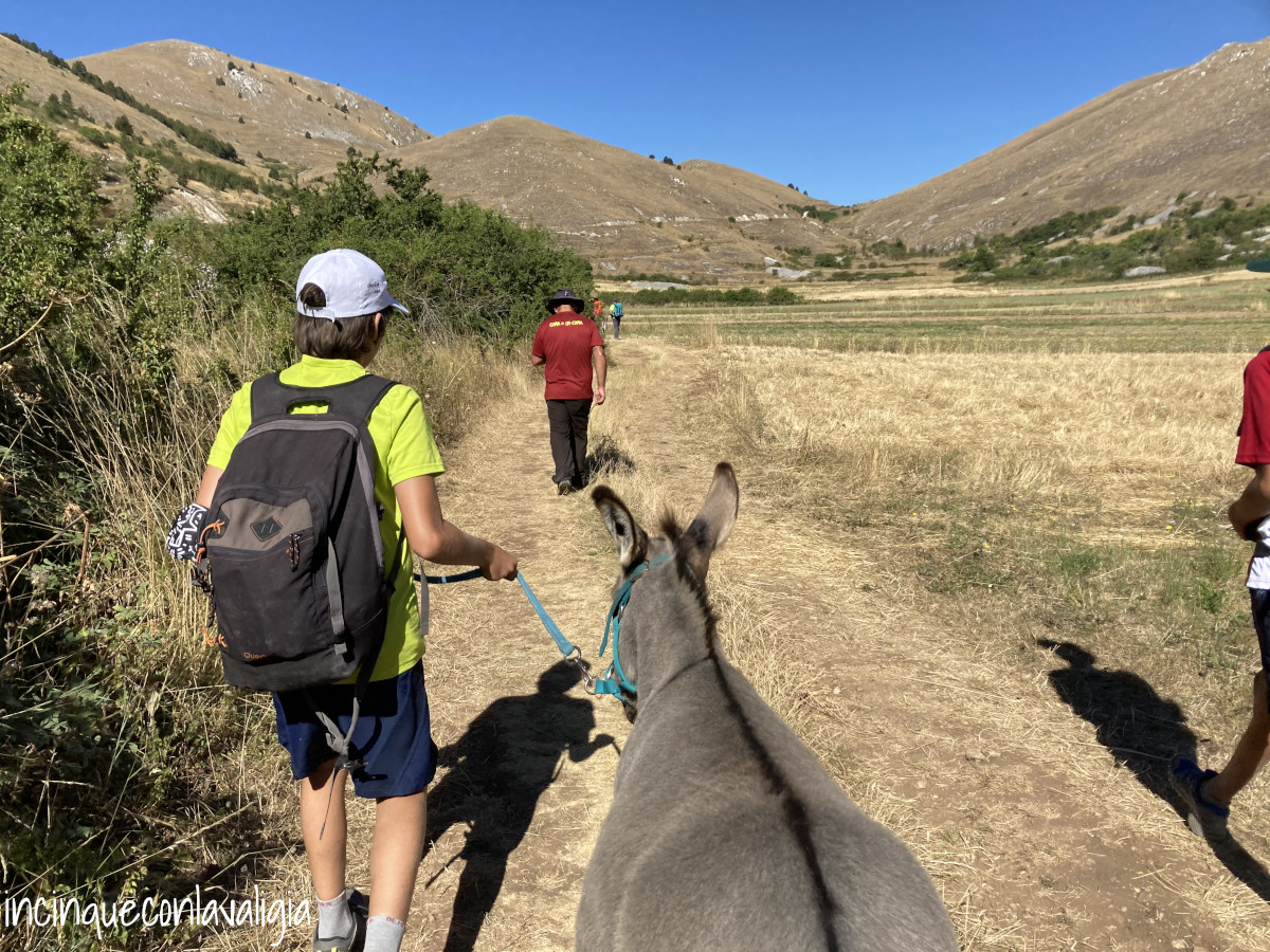 Trekking someggiato in Abruzzo Trekking someggiato in Abruzzo