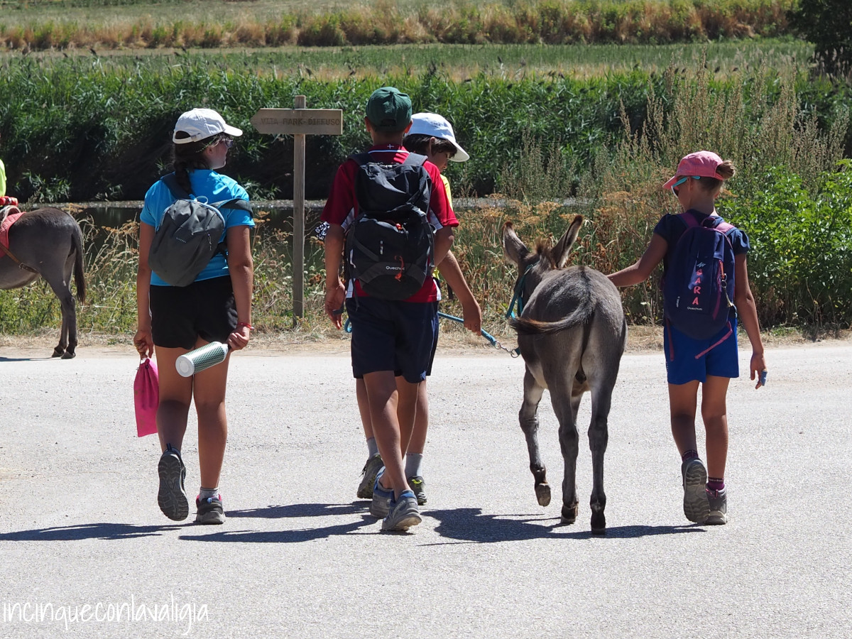 Abbigliamento da montagna per il trekking trekking abbigliamento