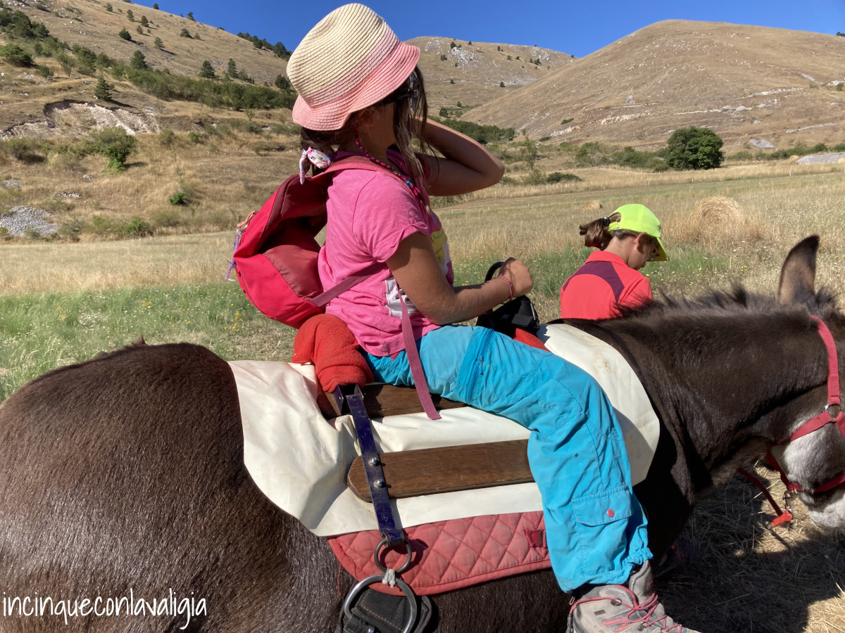 Trekking con asinelli per bambini trekking con asini