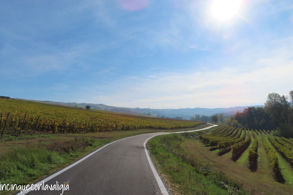 Strada tra i vigneti Oltrepò Pavese