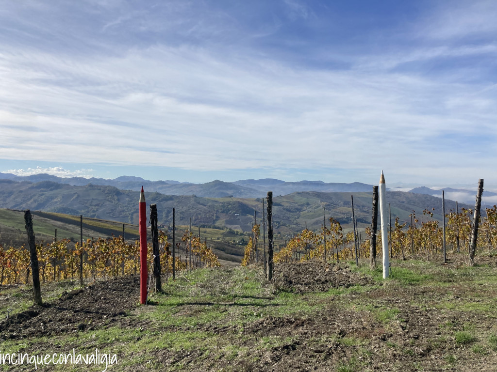 La vigna dei pastelli