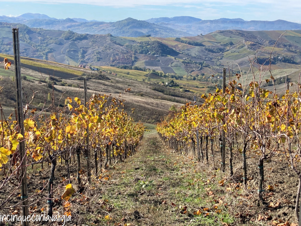 Vigneti Montalto Pavese