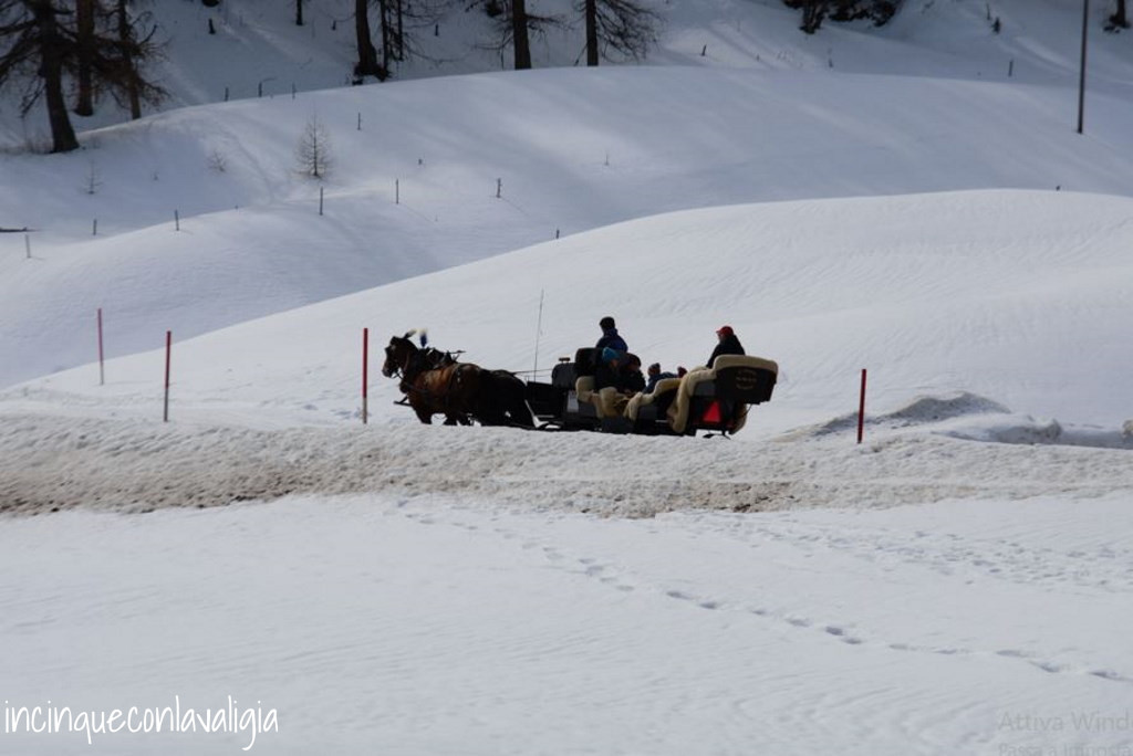 Carrozza trainata dai cavalli a Sils Maria Carrozza trainata dai cavalli Sils Maria