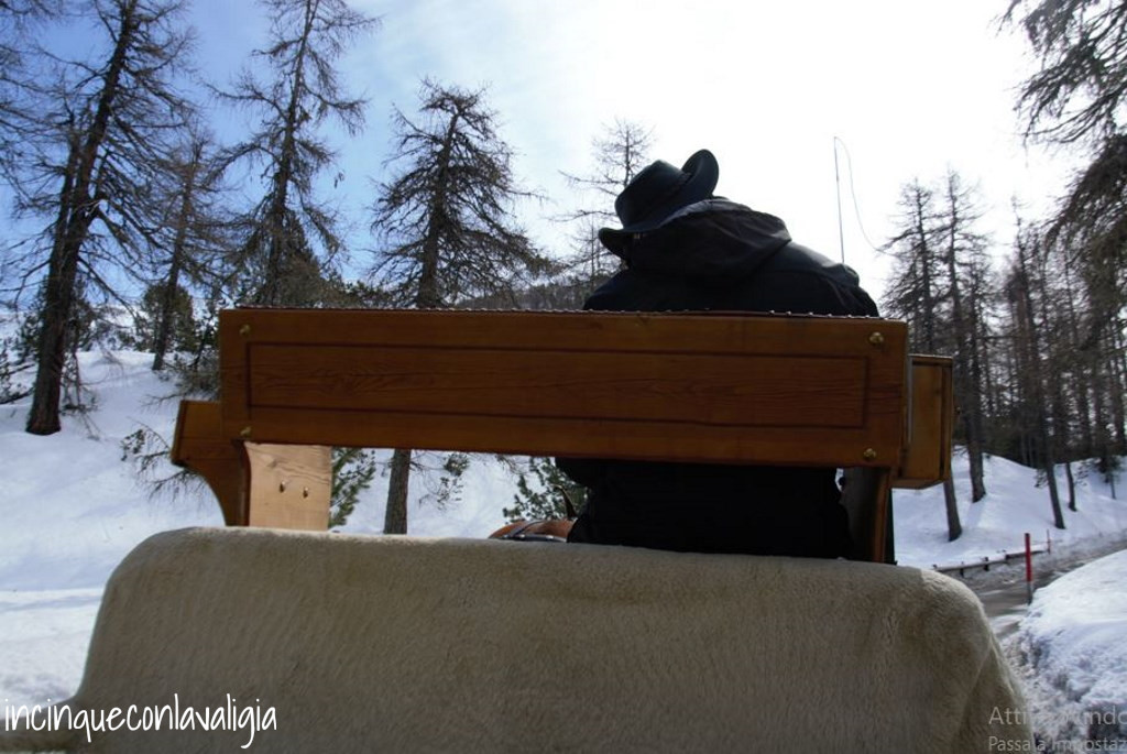 In carrozza in Val Fex in Engadina In carrozza in Val Fex in Engadina