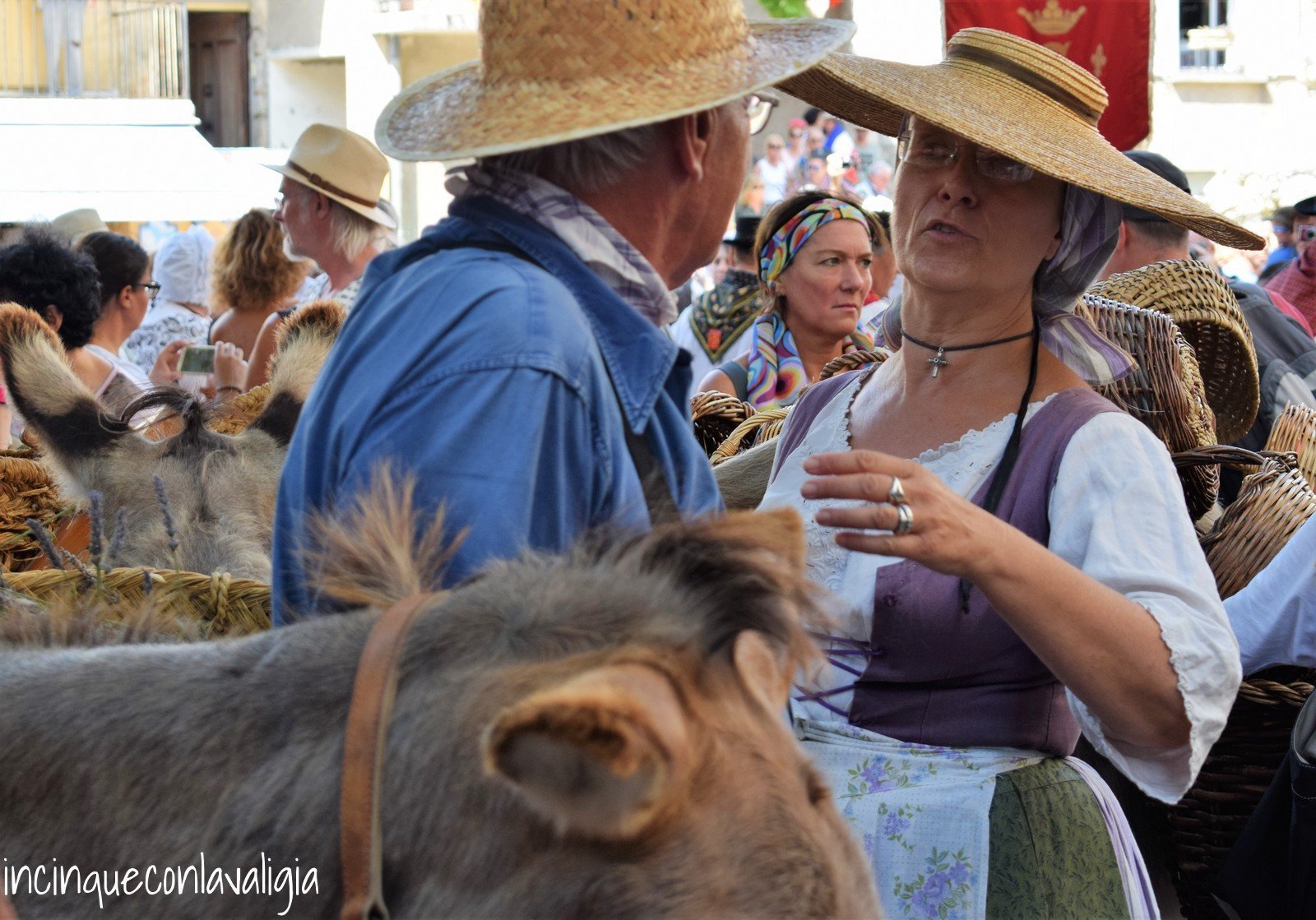 Festa della Lavanda in Provenza Festa della Lavanda Provenza Valensole
