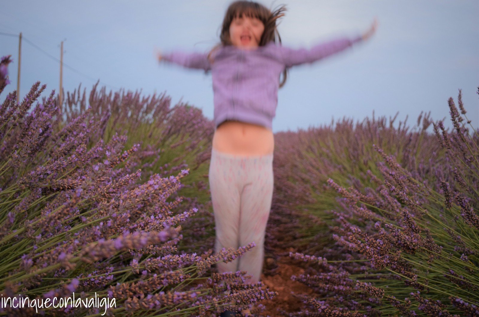 Fioritura della lavanda in Provenza con bambini Provenza con bambini lavanda