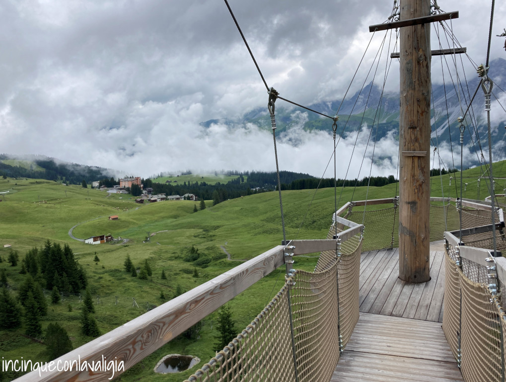 Ponte tibetano per ammirare gli orsi Passerelle terra degli orsi