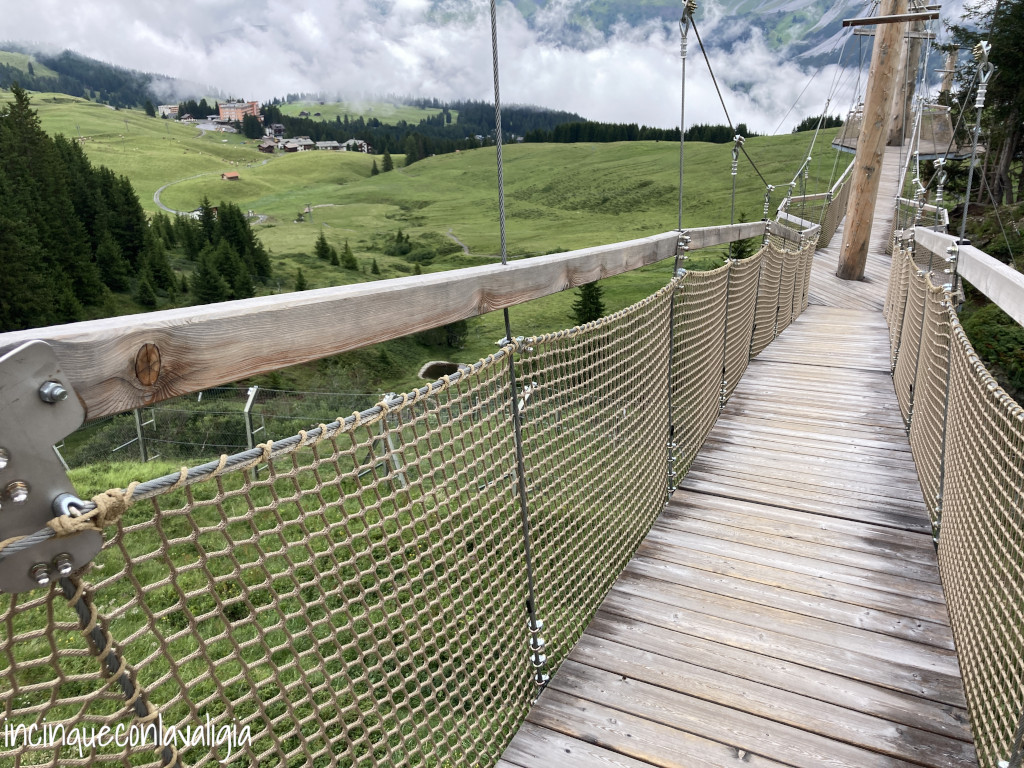 Ponti tibetani per ammirare gli orsi ad Arosa Terra degli Orsi ad Arosa