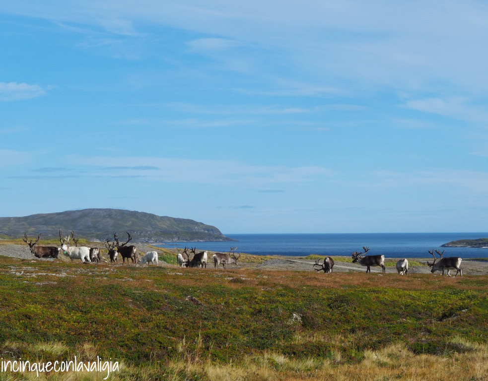 Finnmark itinerario Norvegia strada per Capo Nord Finnmark Norvegia itinerario Capo Nord