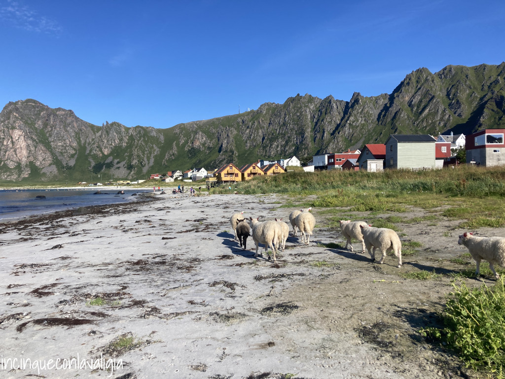 Spiaggia di Bleik alle Vesteralen Spiaggia di Bleik Vesteralen