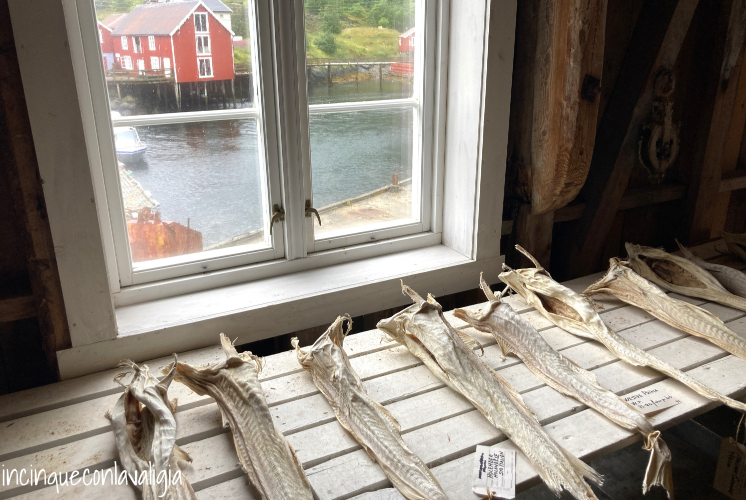 Museo dello Stoccafisso Lofoten