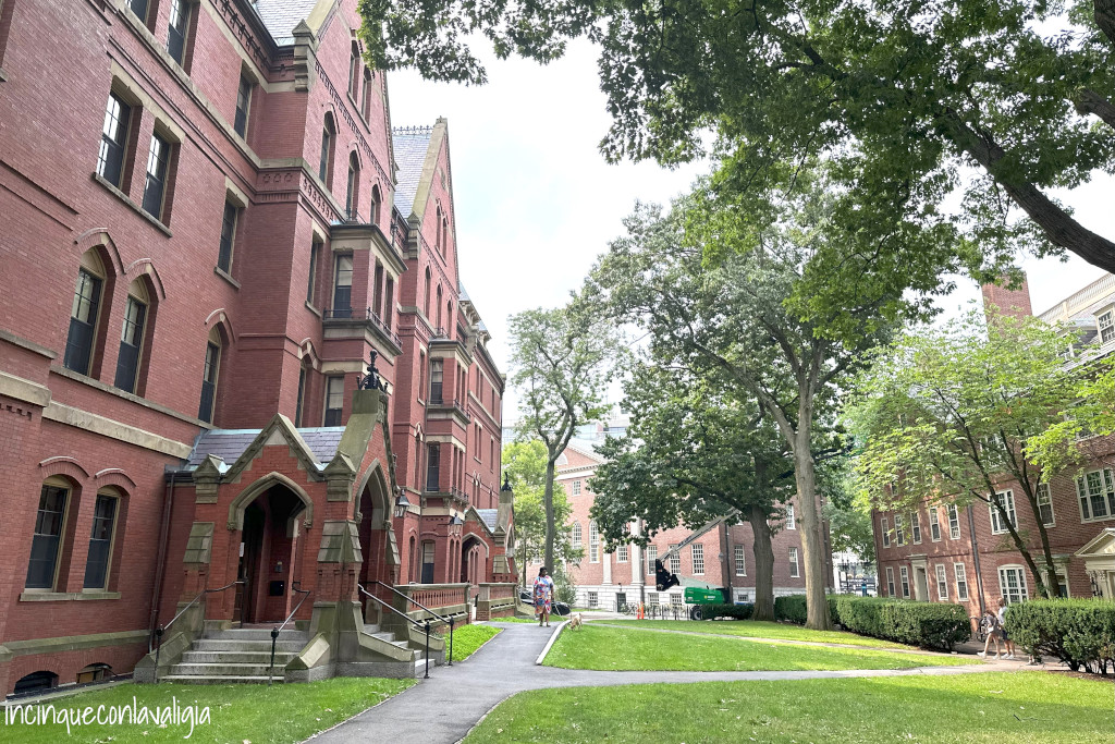 Harvard University Boston
