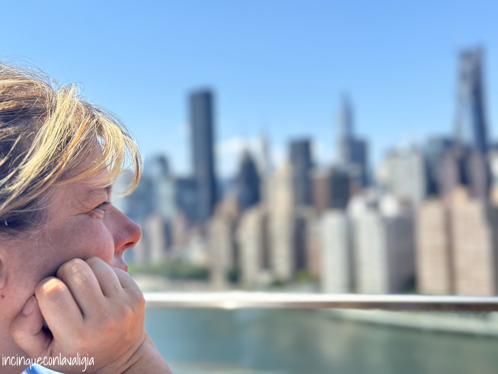 Vista su Manhattan a New York